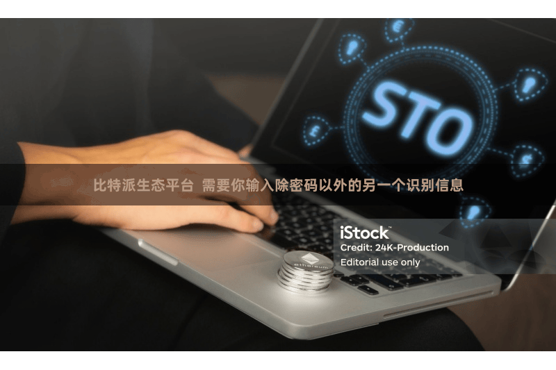 比特派生态平台  需要你输入除密码以外的另一个识别信息